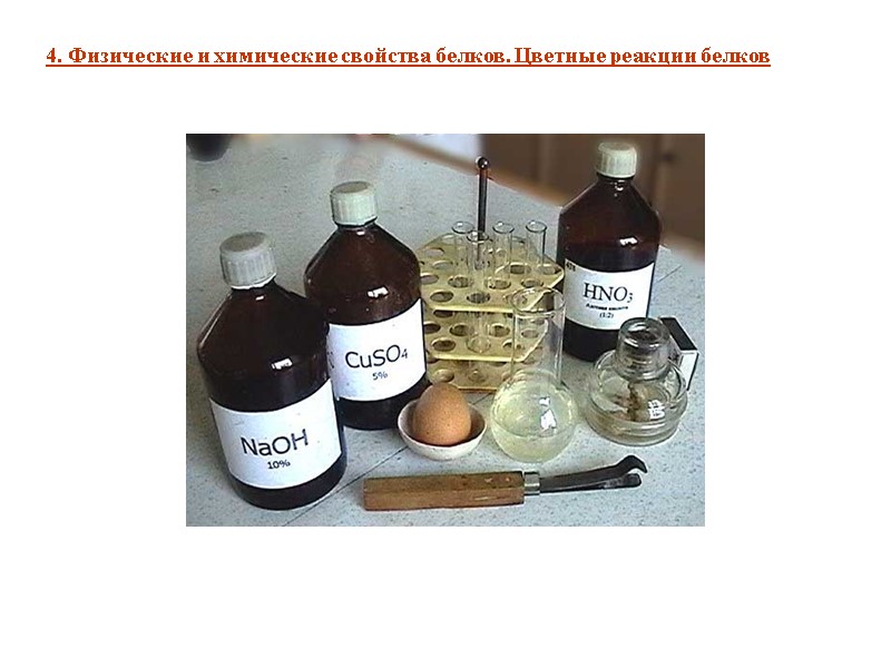 4. Физические и химические свойства белков. Цветные реакции белков